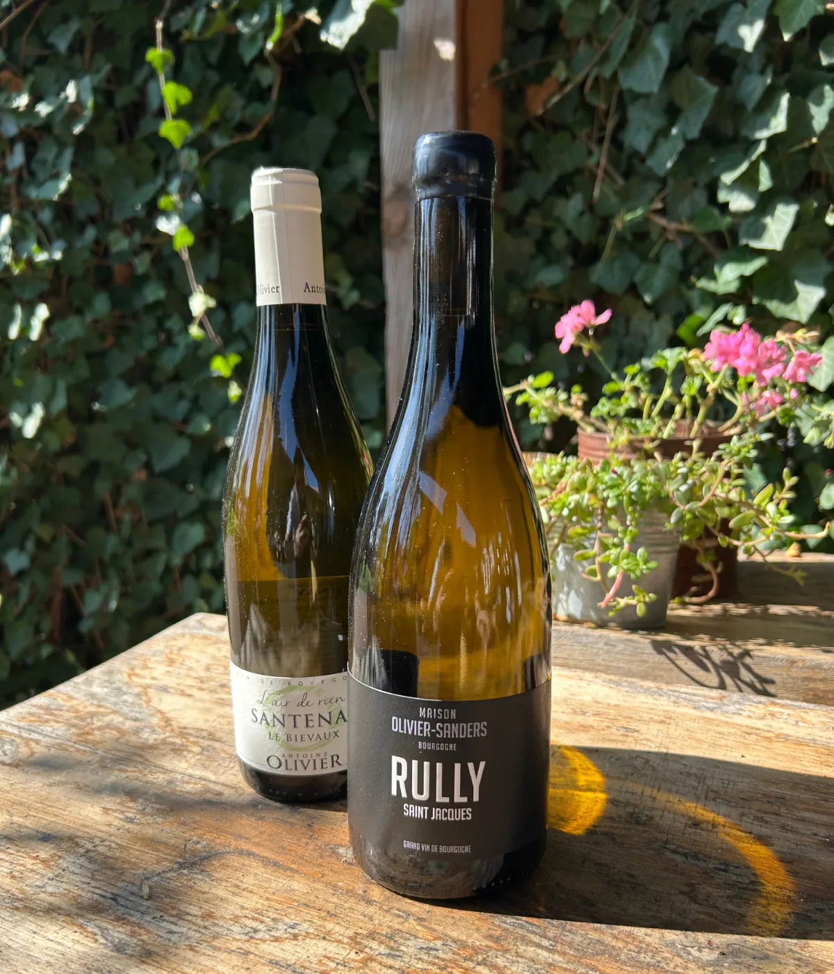 Cadeau Bourgogne Rully & Santenay