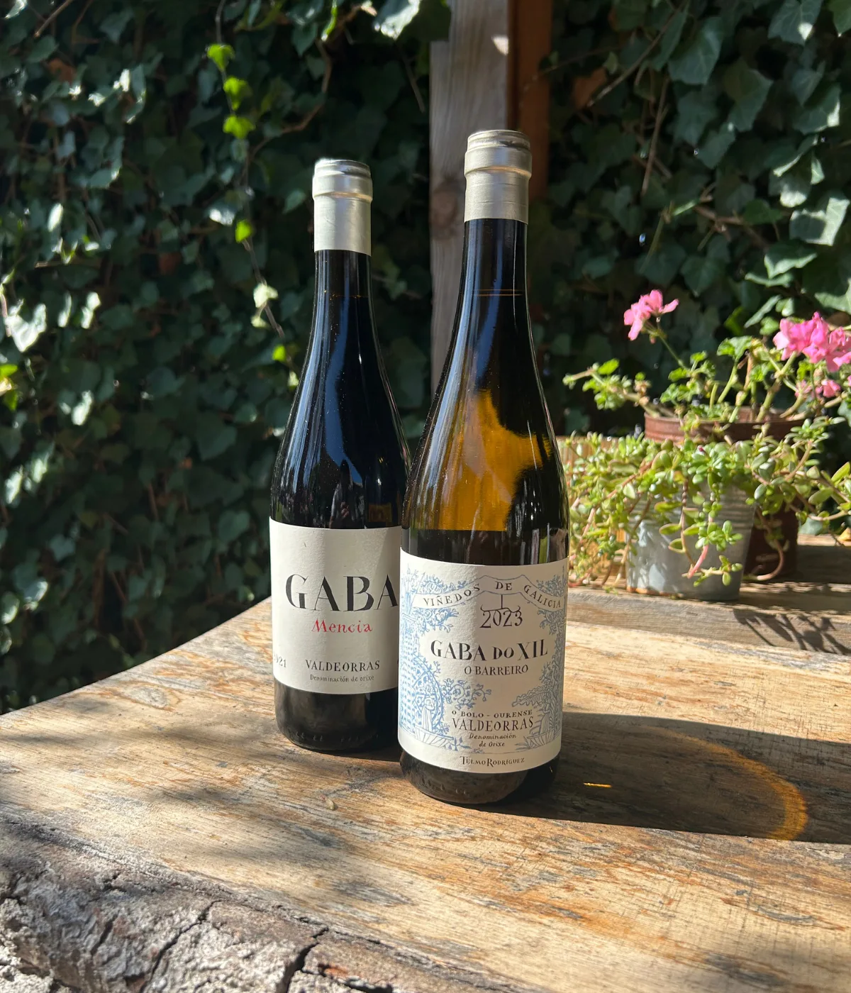 Cadeau duo Telmo Rodriguez Mencia & Godello