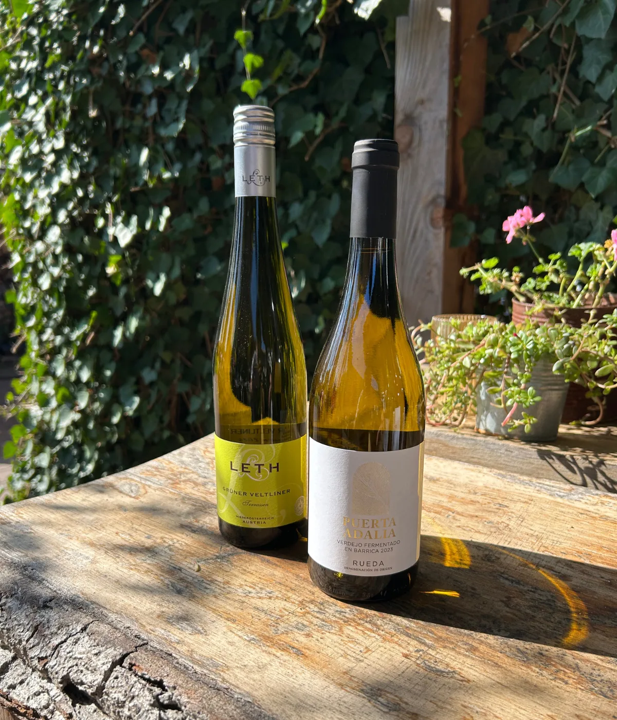 Cadeau wit Grüner Veltliner & Verdejo