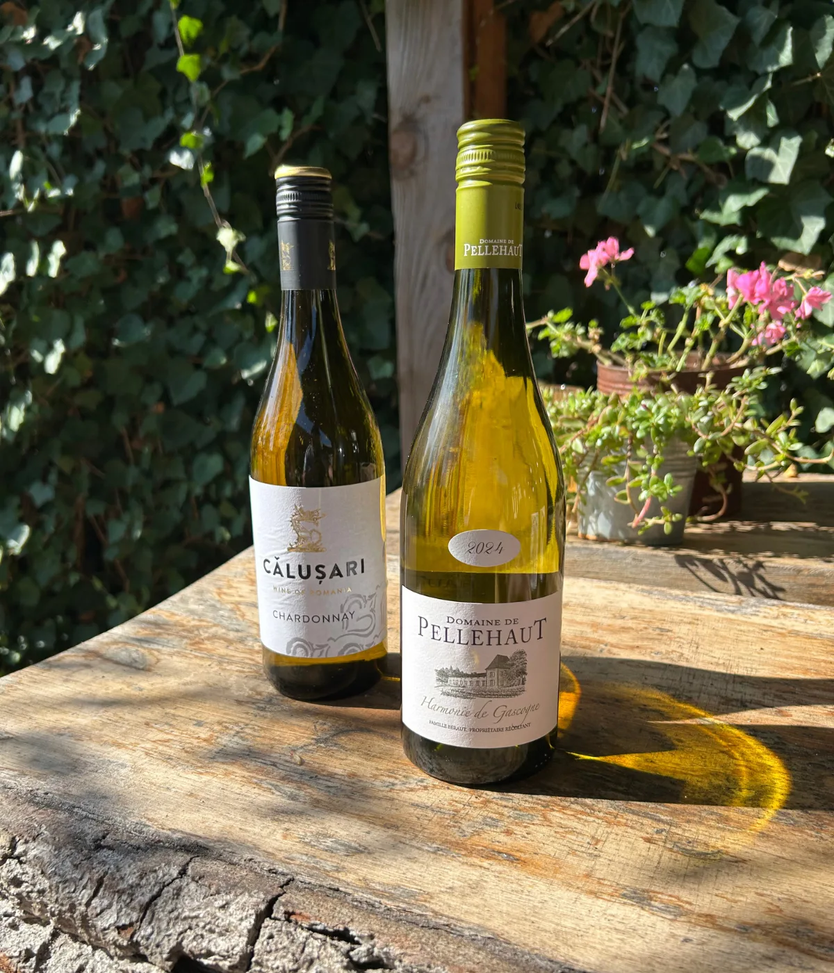 Cadeau wit Gasgogne blanc & Chardonnay